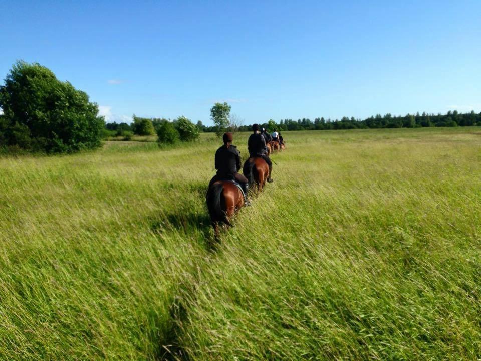 Sassi Talu Horsefarm Hotel Parnumaa Exterior foto